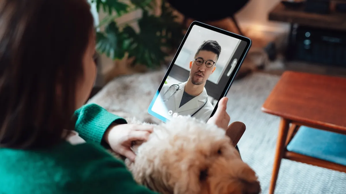 Is Mochi Health Legit?