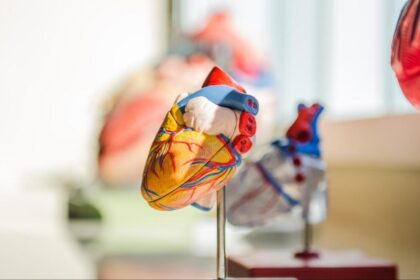 The Role of Preventive Cardiology in Family Health History