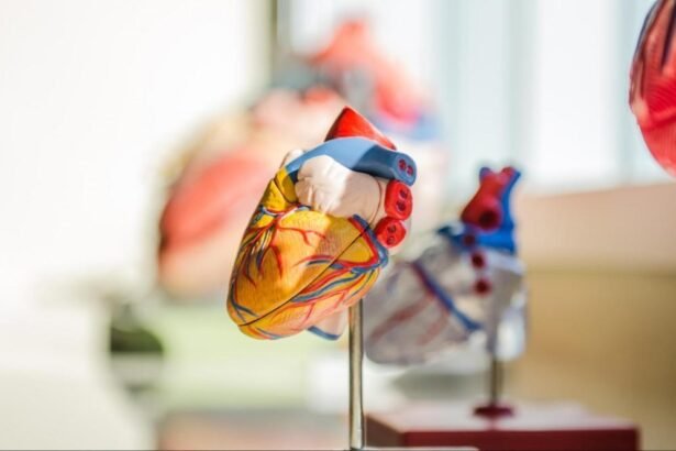 The Role of Preventive Cardiology in Family Health History